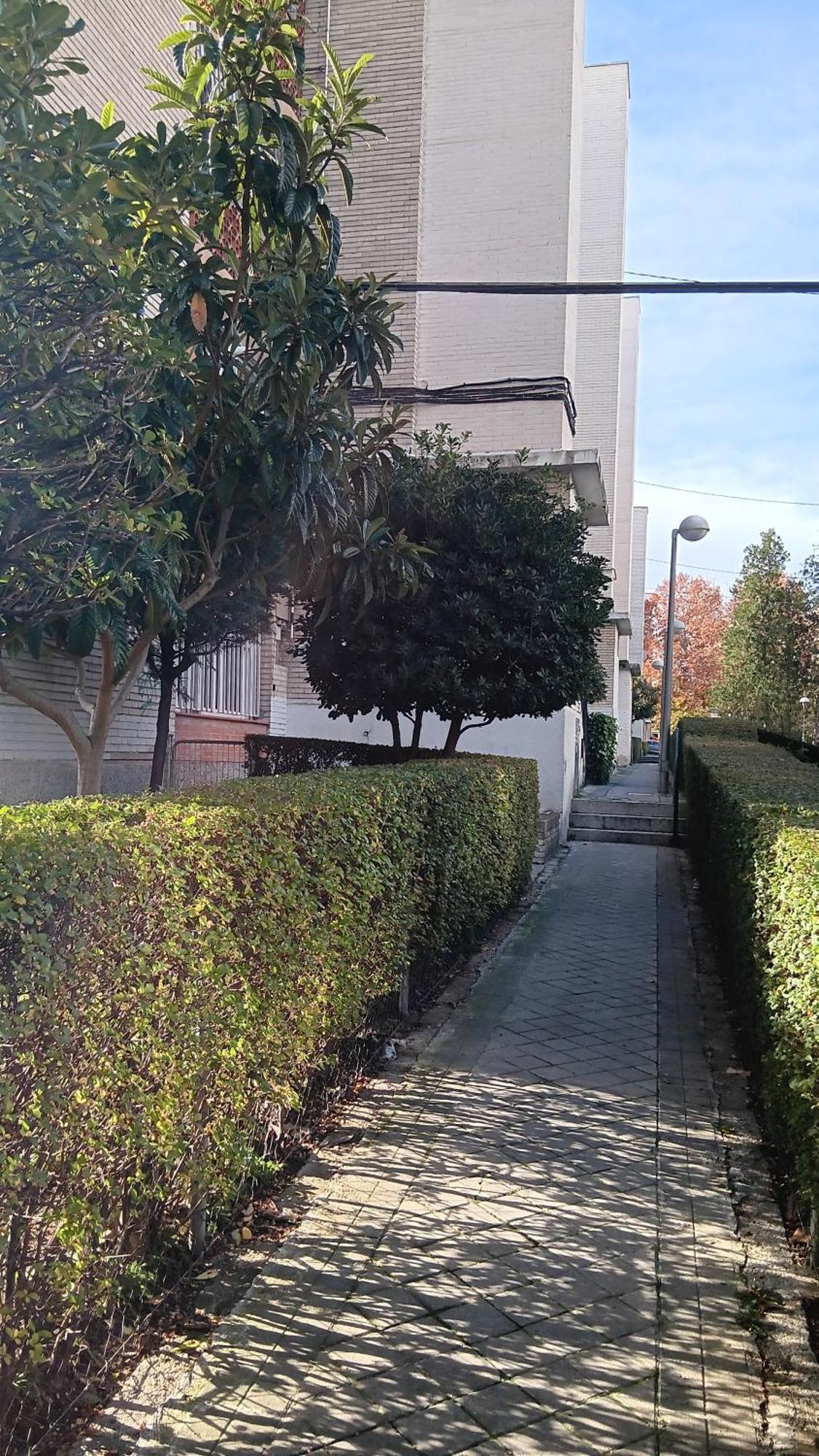 El Colmenar Habitaciones マドリード エクステリア 写真
